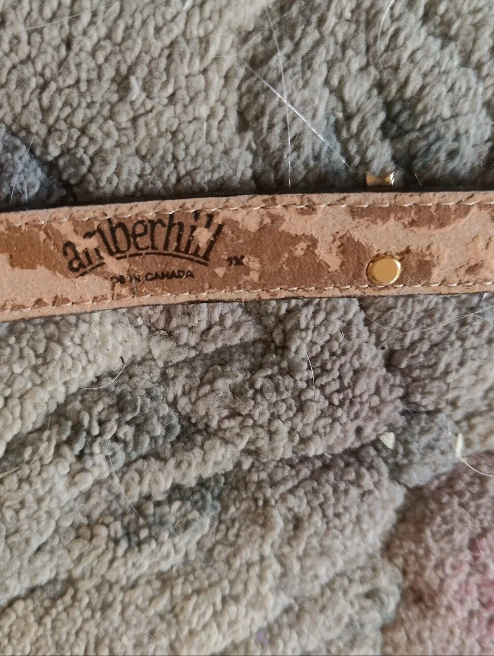 Black Women's Equestrian  Leather Blue Ribbon Belt